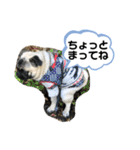 ぱぐたくん②（個別スタンプ：13）