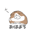 のらさんちのぷりんぷ（個別スタンプ：3）