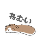 のらさんちのぷりんぷ（個別スタンプ：4）