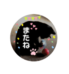 なすさんちの娘さん（個別スタンプ：4）