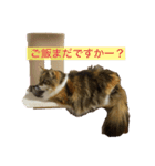 冬美ちゃんスタンプ（個別スタンプ：3）