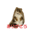 冬美ちゃんスタンプ（個別スタンプ：8）