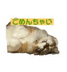 冬美ちゃんスタンプ（個別スタンプ：10）