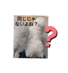 THE muku みんなガンバーw（個別スタンプ：11）
