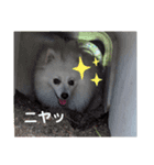 THE muku   いつでも使えるスタンプ（個別スタンプ：2）