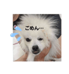 THE muku   いつでも使えるスタンプ（個別スタンプ：3）