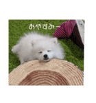 THE muku   いつでも使えるスタンプ（個別スタンプ：7）