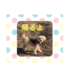 ももんがモコその2（個別スタンプ：9）