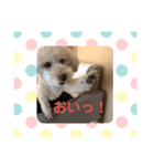 ももんがモコその2（個別スタンプ：10）