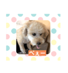 ももんがモコその2（個別スタンプ：11）