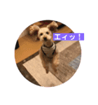 ももんがモコその2（個別スタンプ：13）