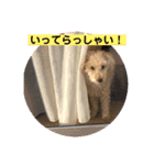 ももんがモコその2（個別スタンプ：14）