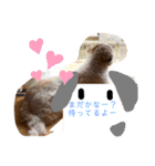 dogs0002（個別スタンプ：2）