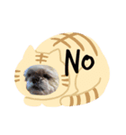 dogs0002（個別スタンプ：4）
