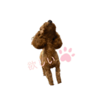 dogs0002（個別スタンプ：7）