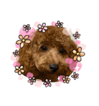 dogs0002（個別スタンプ：8）