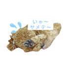 dogs0002（個別スタンプ：10）