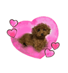 dogs0002（個別スタンプ：15）