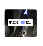 やすのやすによるやすのためのスタンプ₅（個別スタンプ：6）