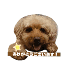 かいまるのご挨拶（個別スタンプ：2）