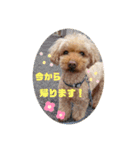 かいまるのご挨拶（個別スタンプ：9）