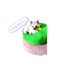 ぽめちnoこゆき（個別スタンプ：2）