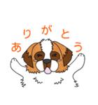 ジャレる犬達（個別スタンプ：5）