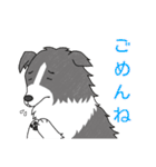 ジャレる犬達（個別スタンプ：9）