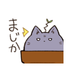 はちうえ猫のねこもりさん③（個別スタンプ：16）