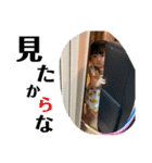 mhnスタンプ③（個別スタンプ：4）