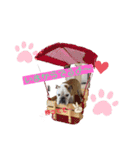 ブル❤スタンプ（個別スタンプ：1）