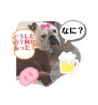 ブル❤スタンプ（個別スタンプ：3）
