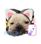 ブル❤スタンプ（個別スタンプ：5）