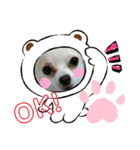 ぽめちnoこゆき②（個別スタンプ：5）