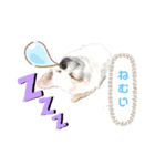 ぽめちnoこゆき②（個別スタンプ：7）