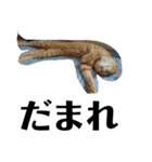 マンボウの素揚げ（個別スタンプ：4）