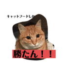 マンボウの素揚げ（個別スタンプ：6）