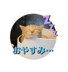 ちぃちゃん日常（個別スタンプ：12）