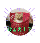 ちぃちゃん日常（個別スタンプ：18）
