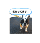 フレブルのハチ（個別スタンプ：9）