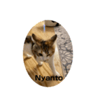 neco20200815（個別スタンプ：2）