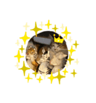 neco20200815（個別スタンプ：3）