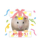 キンクマスタンプ（個別スタンプ：3）