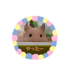 キンクマスタンプ（個別スタンプ：4）