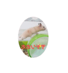 キンクマスタンプ（個別スタンプ：7）