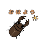 ダジャレクワガタスタンプ（個別スタンプ：2）