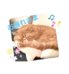だいずのスタンプ5（個別スタンプ：9）