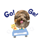 ctn_rinda（個別スタンプ：1）
