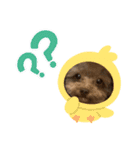 ctn_rinda（個別スタンプ：7）