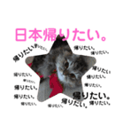 にゃんきちすたんぷ（個別スタンプ：6）